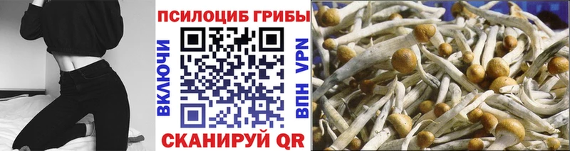 Галлюциногенные грибы GOLDEN TEACHER  Калуга 